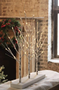 2 Foot Electric Birch Grove On Base - 28 Inch 56 Warm White LED Lights