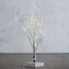 Battery Operated White Birch Tree 1.5 Feet - 16 Warm White LED'S Timer 1 Battery Operated White Birch Tree 1.5 Feet - 16 Warm White LED'S Timer -Solar Christmas Holiday Shop 3800946 birch tree