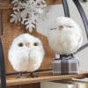 4 Inch White Owl Ornaments Set Of 2 Assorted From RAZ 1 4 Inch White Owl Ornaments Set Of 2 Assorted From RAZ -Solar Christmas Holiday Shop 4003421