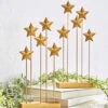 Gold Star Grove - 12 Inch Set Of 2 -Solar Christmas Holiday Shop 4111156 books