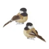 3.5 Inch Clip On Chickadee Bird Ornament (Set Of 2) -Solar Christmas Holiday Shop 4153305 raz