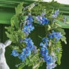 Floral And Fern Mini Wreath-Candle Ring -Solar Christmas Holiday Shop 4202202