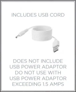 Santa And Dogs Lighted Water Lantern - Timer -Solar Christmas Holiday Shop RAZ usb cord