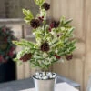 22 Inch Holiday Tree In Silver Bucket With Berries Snow And Pine Cones -Solar Christmas Holiday Shop bucket tree