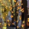 Battery Operated 2.5 Foot Lighted Halloween Candy Corn Tree - NEW 2023 -Solar Christmas Holiday Shop candy corn tree