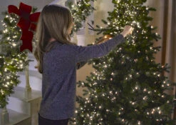 Christmas Cluster Lights With 300 Warm White LED 10 Foot - Green Wire - Remote Control RAZ Imports -Solar Christmas Holiday Shop decorating with cluster lights 1