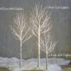 6 Foot Lighted Birch Tree - 600 Warm White Fairy Lights - From RAZ -Solar Christmas Holiday Shop fairy light trees 2