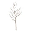 Champagne Gold Glitter Manzanita Branch 30 Inch - From RAZ -Solar Christmas Holiday Shop glitter manzanita branch new 2019
