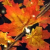 4 Foot LED Maple Tree - 48 Lights - For Use Indoors And Outdoors -Solar Christmas Holiday Shop maple tree detail