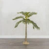 4 Foot Electric Lighted Palm Tree - 55 Warm White Micro Lights With Outdoor Adaptor -Solar Christmas Holiday Shop palm 4 foot