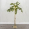 5 Foot Electric Lighted Palm Tree - 89 Warm White Micro Lights With Outdoor Adaptor -Solar Christmas Holiday Shop palm 5 foot