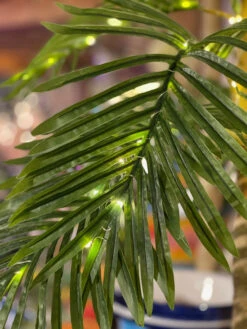 5 Foot Electric Lighted Palm Tree - 89 Warm White Micro Lights With Outdoor Adaptor 7 5 Foot Electric Lighted Palm Tree - 89 Warm White Micro Lights With Outdoor Adaptor -Solar Christmas Holiday Shop palm detail