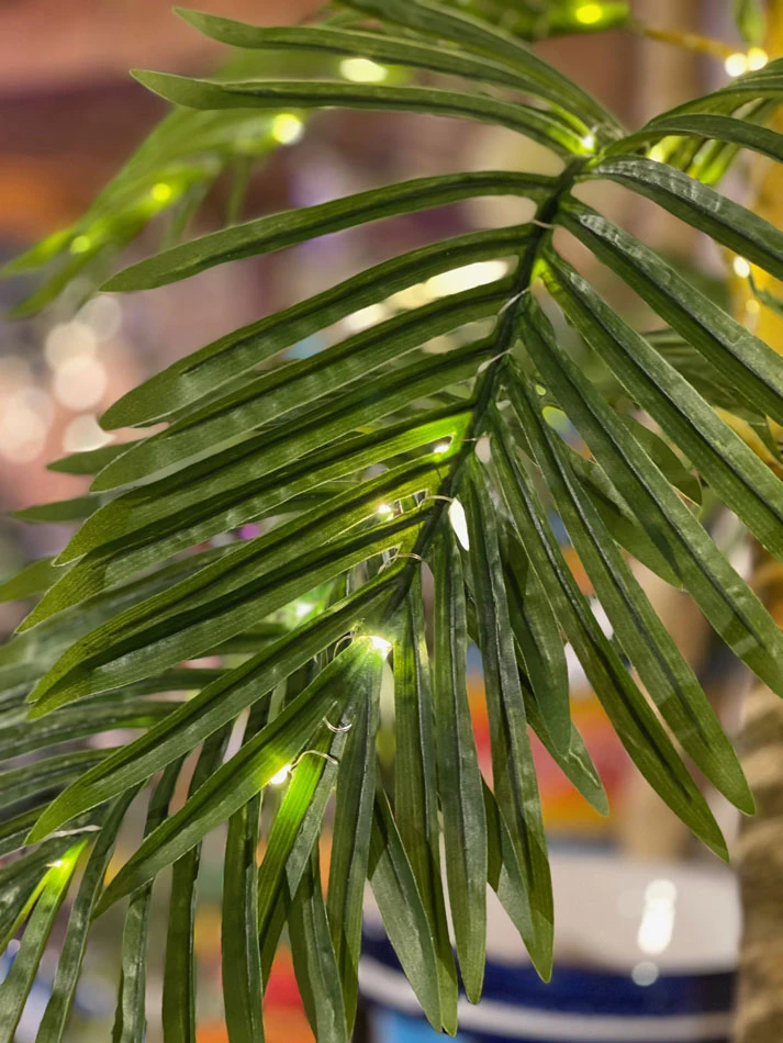 5 Foot Electric Lighted Palm Tree - 89 Warm White Micro Lights With Outdoor Adaptor 5 5 Foot Electric Lighted Palm Tree - 89 Warm White Micro Lights With Outdoor Adaptor - Image 3
